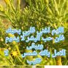 user8033812280795