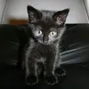 eve09199