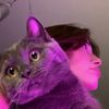 jori._2