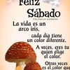 user87232592390730