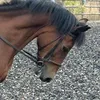 hettie.greenway