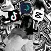 edit_das_trans2