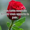 noralgeroise