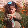 amjad.guldara