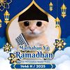 user8774404626508