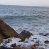 rabiaalali4