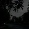 kkkoooxxx1995haillllllll