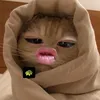 nguynhuthai12