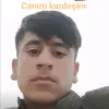 abdalbast.hasmi