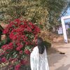 sonisha070