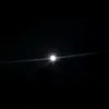 reyrose16.03.20