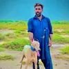 m.afsar3571