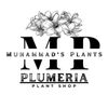 muhammadsplants