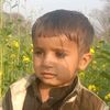 user582021617