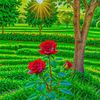 user8106377547802