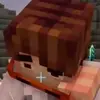 maksvelosepedist