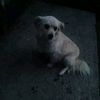 user3200161678509