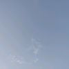 tala.alharbi94