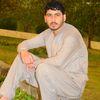 viral804pti