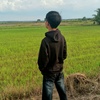 maranay.komering