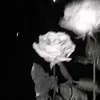 yu_dy54