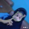 mba.fifah