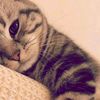 nay_cmiww