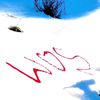 wahid26691