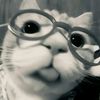 meng_ameng8