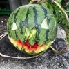 ヤレバデキルコ