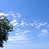 the_skyblue0