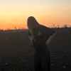 .mxvill