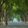 phmnhtminh35