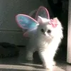 ooooovvvvvvvvvvvvvvvv