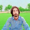 shabi.lak308