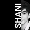 shanis941