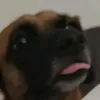 elias4you