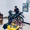 tiger_wdynv