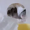 nikita._512