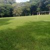luis.polanco806