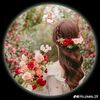 user5309307819026