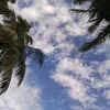 nphat_1903
