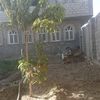 user8350205863465