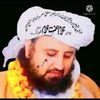 shahid.safif2399