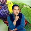 mhamed.rahrahi