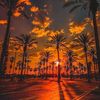 imsunny62