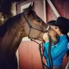 western_and_more