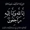 user8038147782996