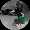 algeriandefender