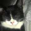 xxmelenaxdhm